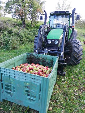 Kiste mit geernteten Äpfeln, die vom Traktor abgeholt wird